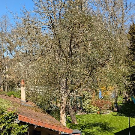 La Maison D'A Cote Saint-Amand-en-Puisaye Экстерьер фото