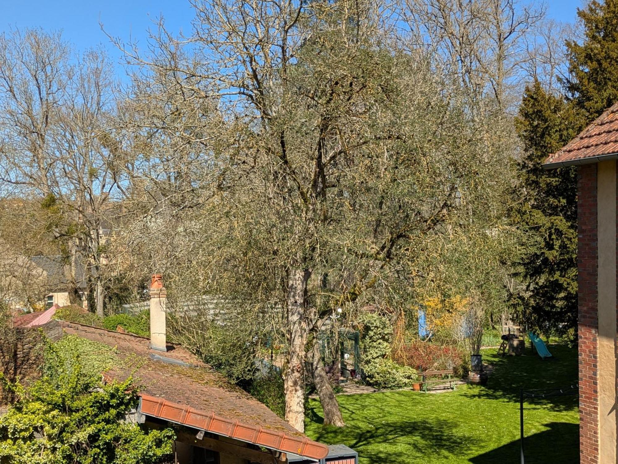 La Maison D'A Cote Saint-Amand-en-Puisaye Экстерьер фото